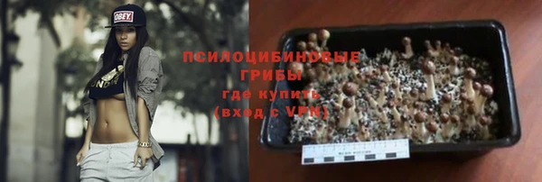 ПСИЛОЦИБИНОВЫЕ ГРИБЫ Баксан