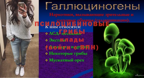 ПСИЛОЦИБИНОВЫЕ ГРИБЫ Баксан