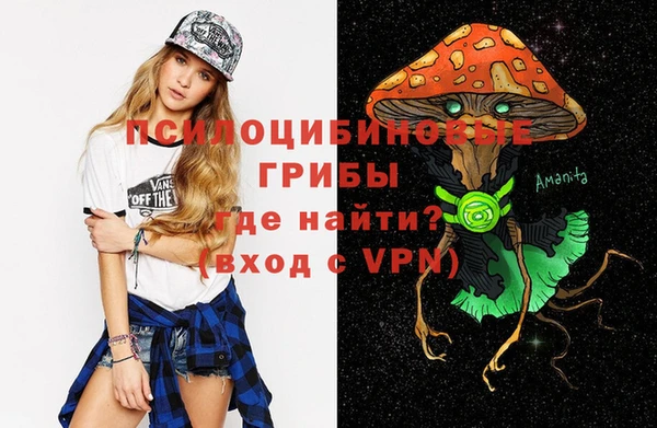 ПСИЛОЦИБИНОВЫЕ ГРИБЫ Баксан